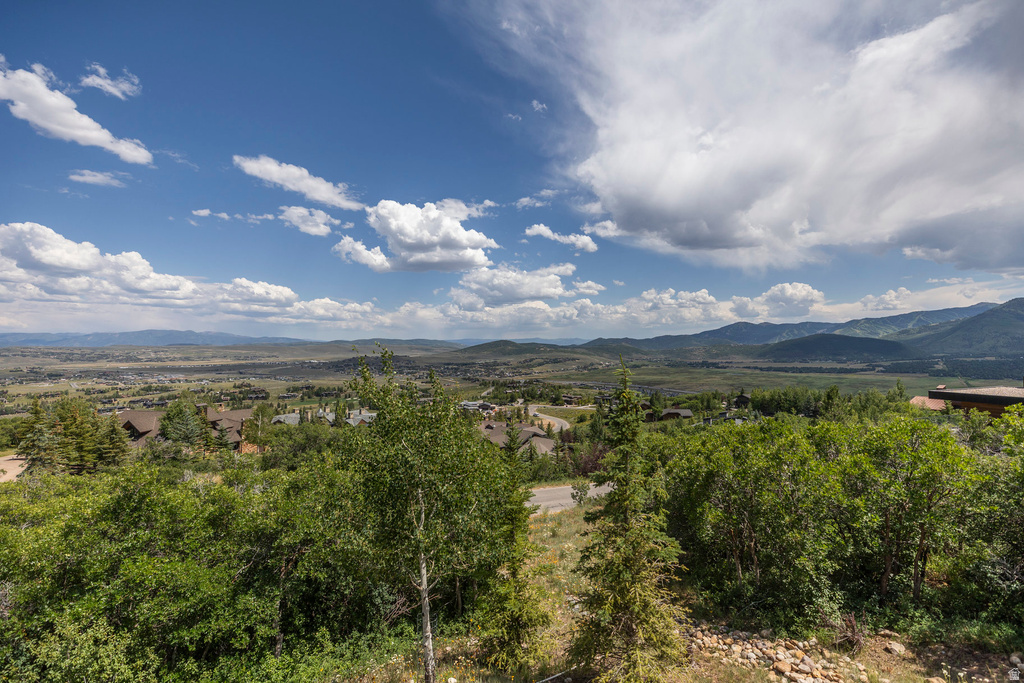 1433 SNOW BERRY ST Park City, UT 84098