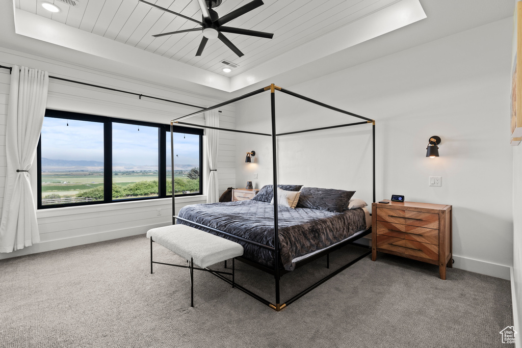 Carpeted bedroom with a raised ceiling and a ceiling fan