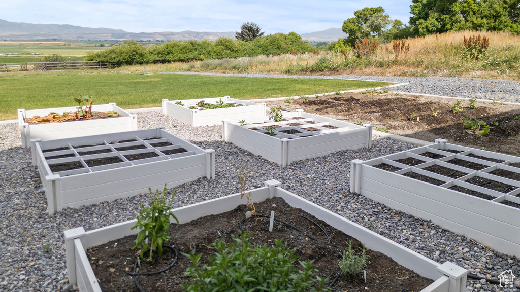 View of grassy yard featuring a mountain view and a vegetable garden
