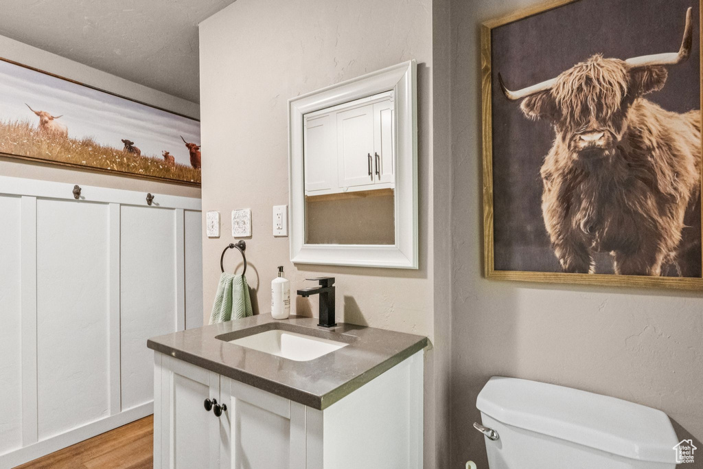 Bathroom with vanity and wood finished floors