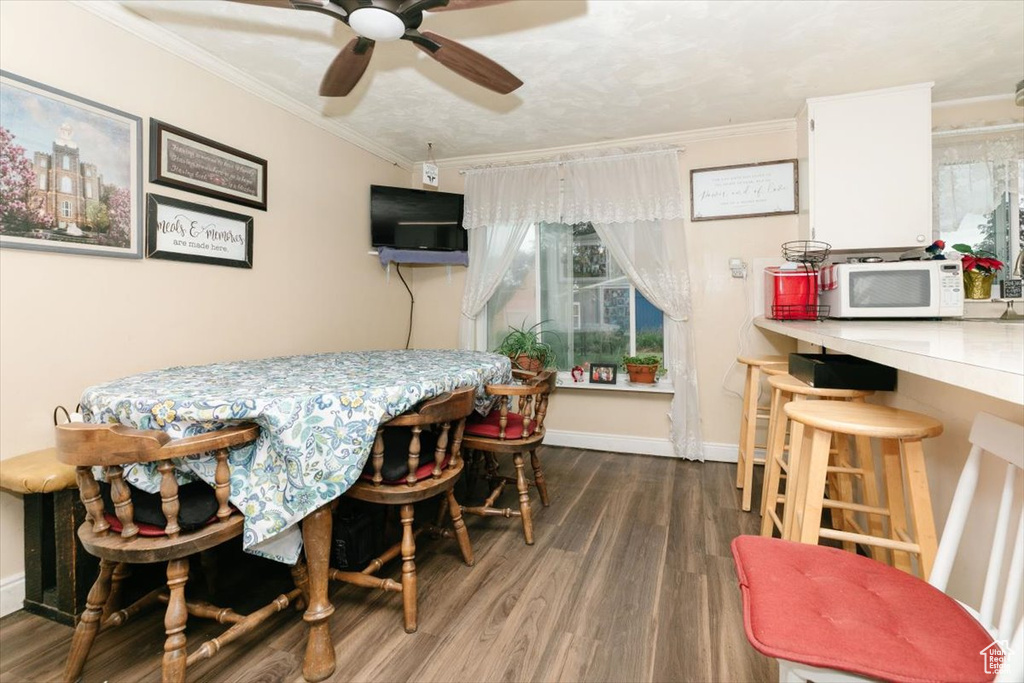 Dining room featuring wood finished floors, ceiling fan, ornamental molding, and healthy amount of natural light