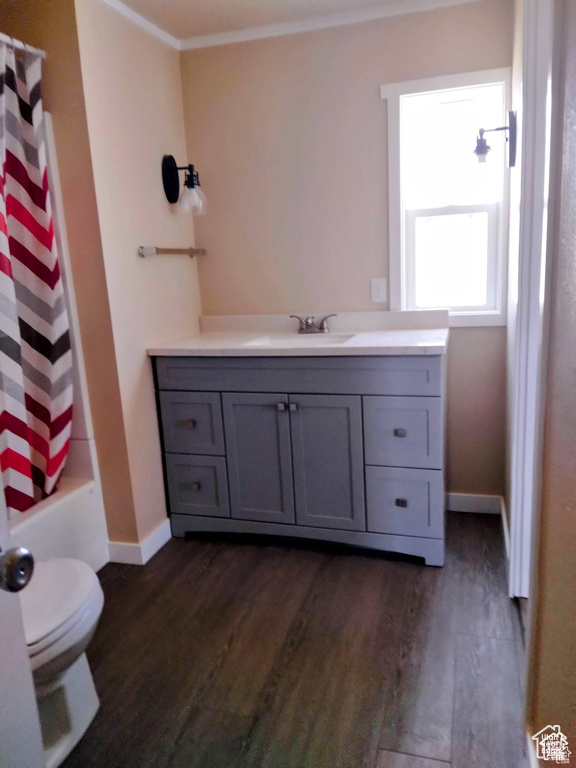 Bathroom with wood finished floors, vanity, and ornamental molding