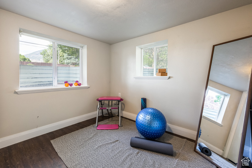 Workout room featuring healthy amount of natural light and wood finished floors