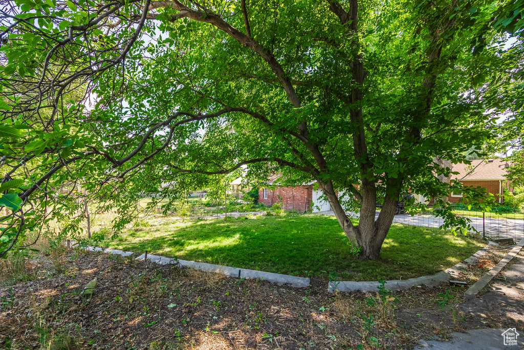 View of green lawn