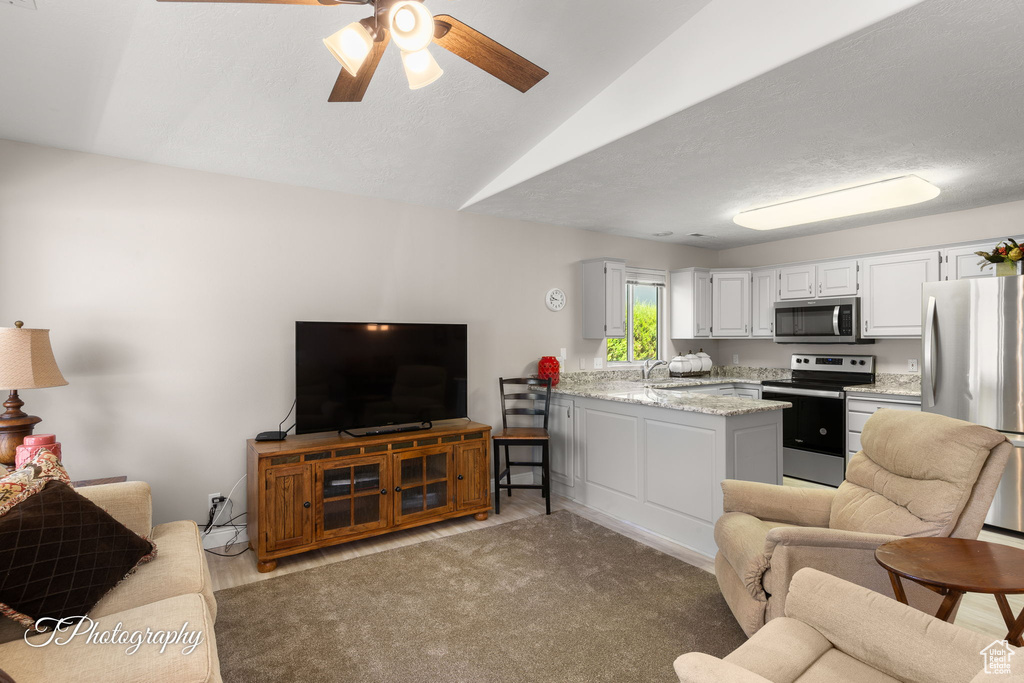 Living area with ceiling fan and lofted ceiling