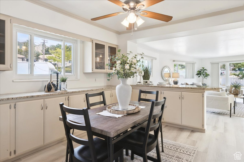 Dining area with a ceiling fan, light wood-style flooring, and crown molding