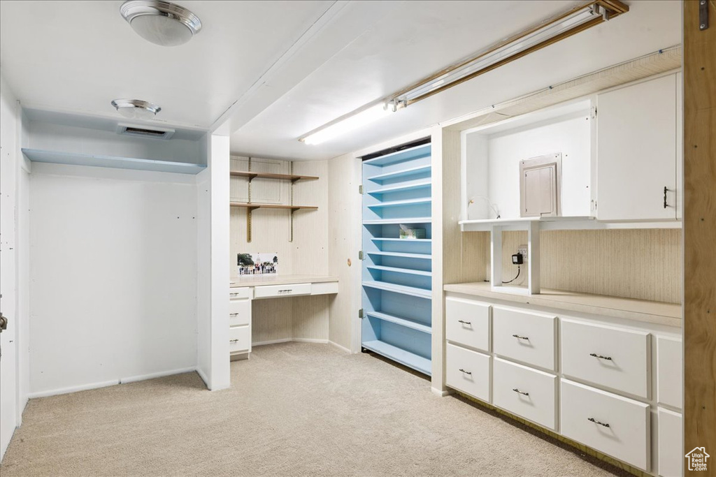 Spacious closet featuring light carpet