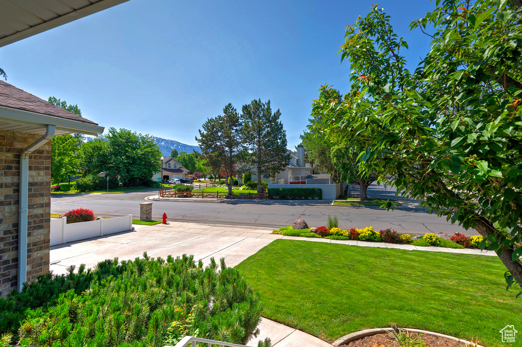 1131 E OLD DAIRY RD Sandy, UT 84094