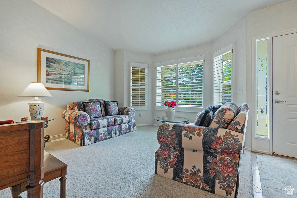1131 E OLD DAIRY RD Sandy, UT 84094