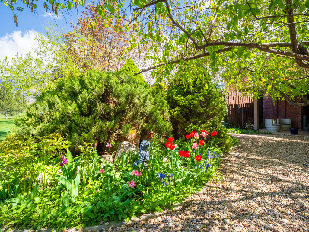 48 N WHITE BARN DR Pleasant View, UT 84414