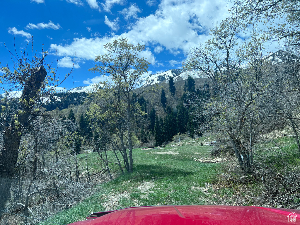162 N UPPER OAKWOOD DR Springville, UT 84663
