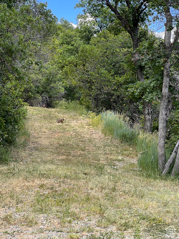162 N UPPER OAKWOOD DR Springville, UT 84663