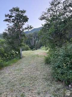 162 N UPPER OAKWOOD DR Springville, UT 84663