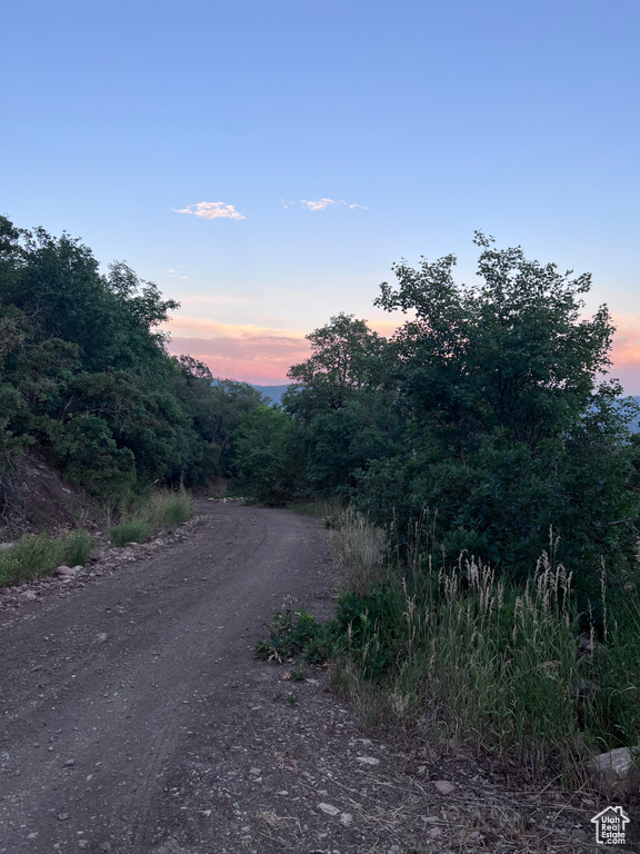 162 N UPPER OAKWOOD DR Springville, UT 84663