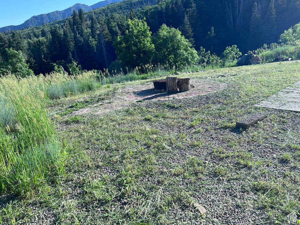 162 N UPPER OAKWOOD DR Springville, UT 84663