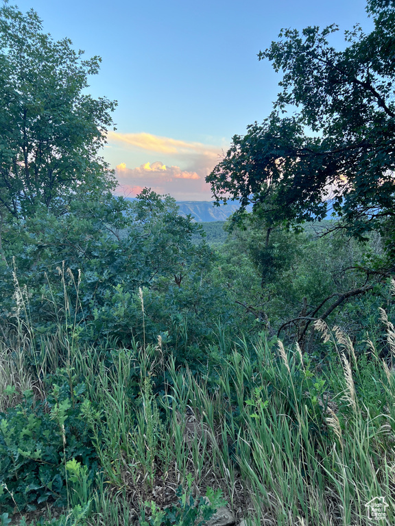 162 N UPPER OAKWOOD DR Springville, UT 84663