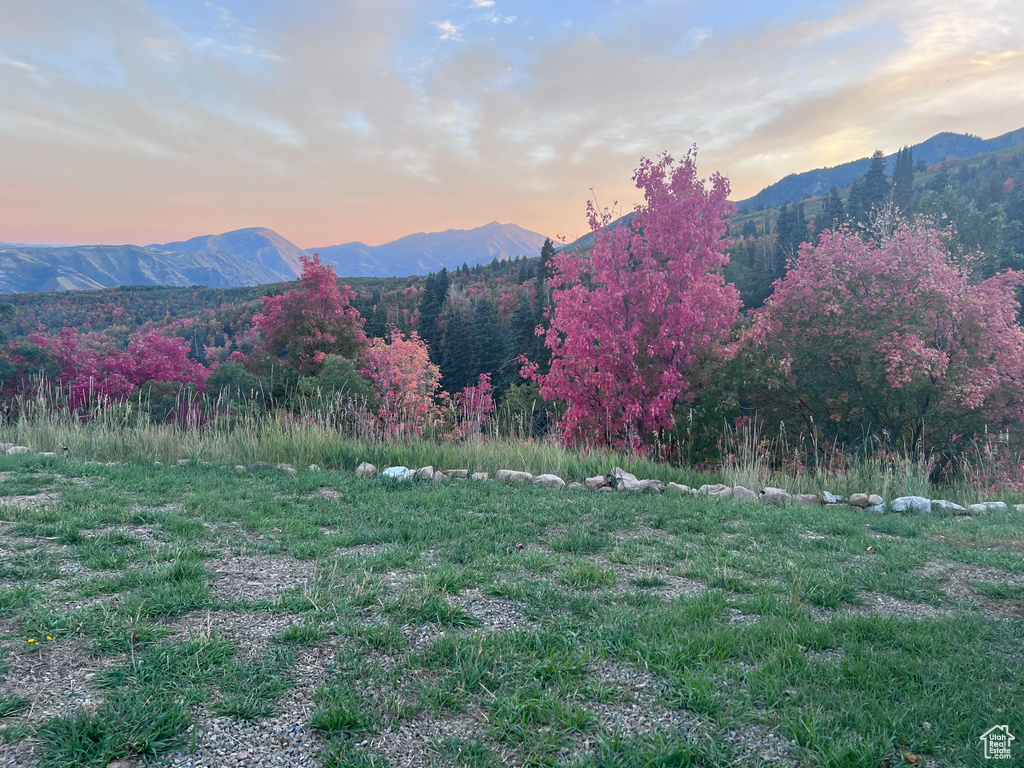 162 N UPPER OAKWOOD DR Springville, UT 84663