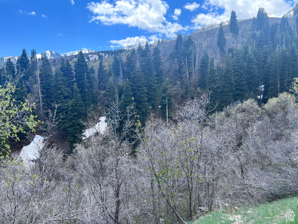 162 N UPPER OAKWOOD DR Springville, UT 84663