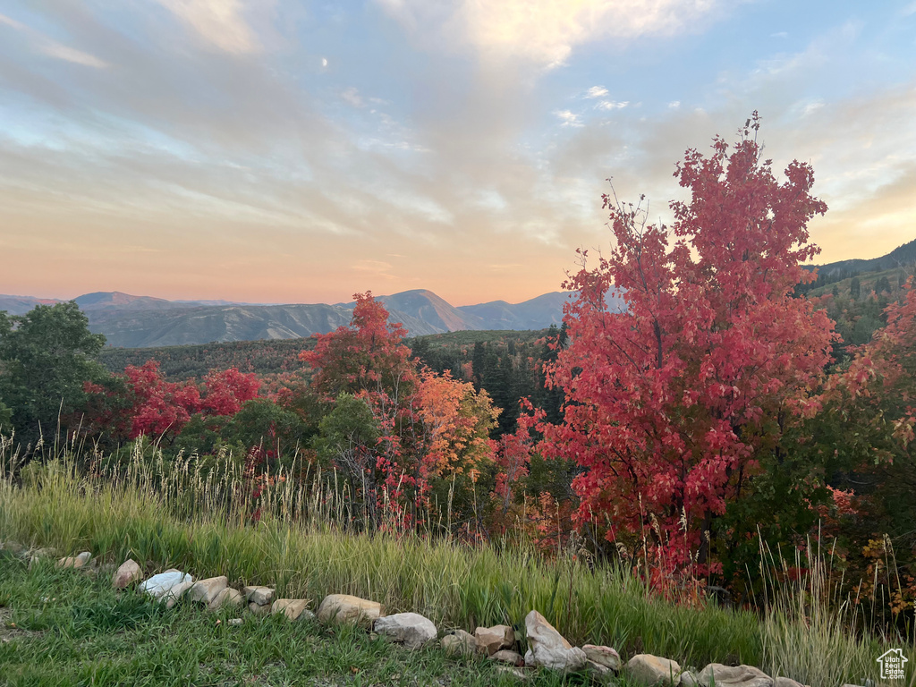 162 N UPPER OAKWOOD DR Springville, UT 84663