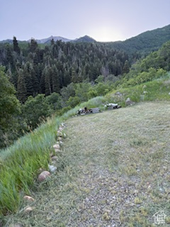 162 N UPPER OAKWOOD DR Springville, UT 84663