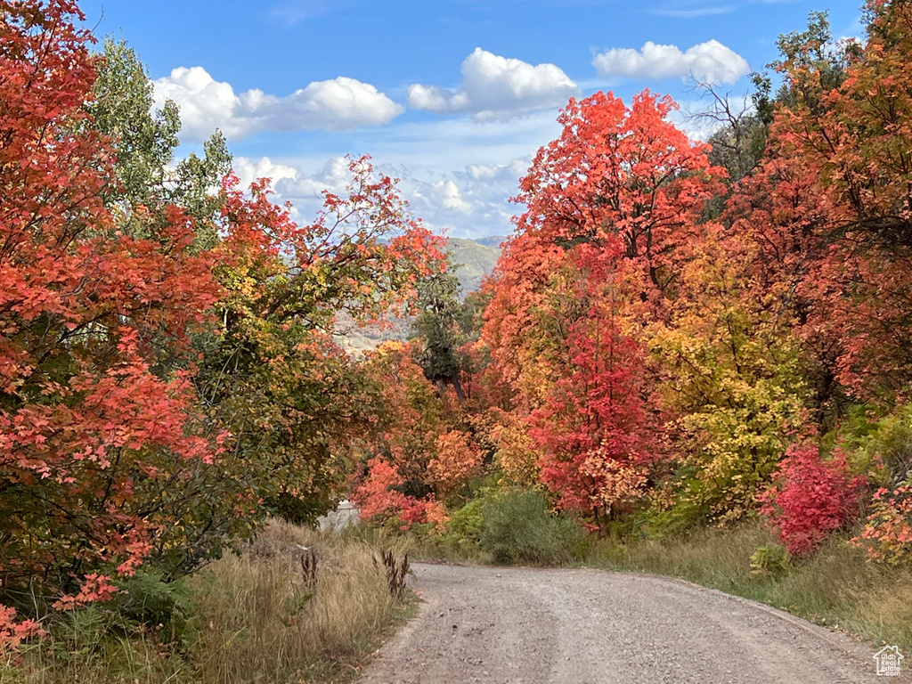 162 N UPPER OAKWOOD DR Springville, UT 84663