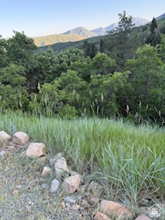 162 N UPPER OAKWOOD DR Springville, UT 84663