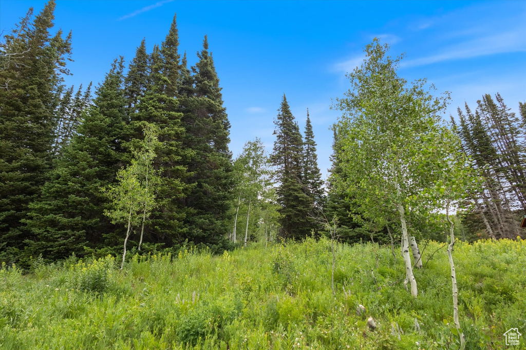 4372 S BUCK WAY Heber City, UT 84032