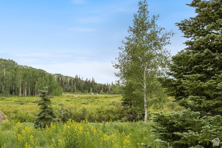 4372 S BUCK WAY Heber City, UT 84032