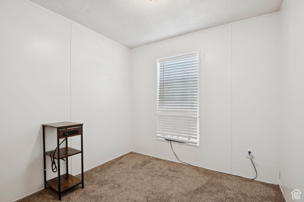 Carpeted empty room with a textured ceiling