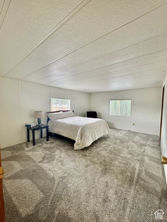 Bedroom with carpet and a textured ceiling