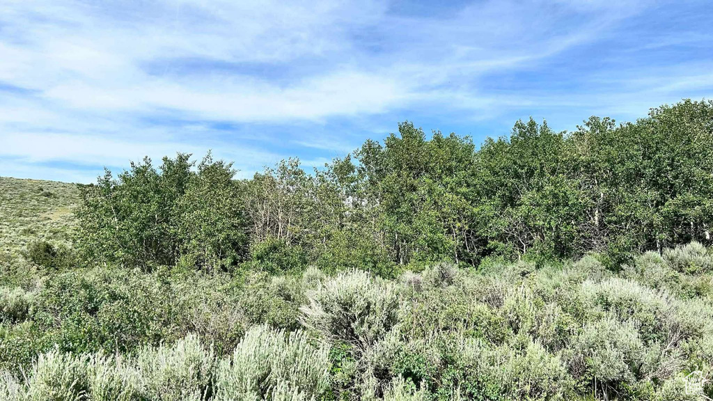  Montpelier, ID 83254