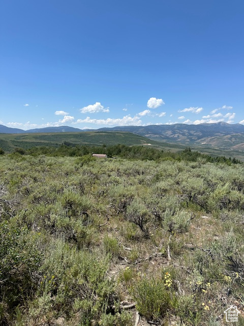  Montpelier, ID 83254