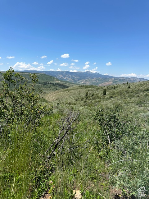  Montpelier, ID 83254