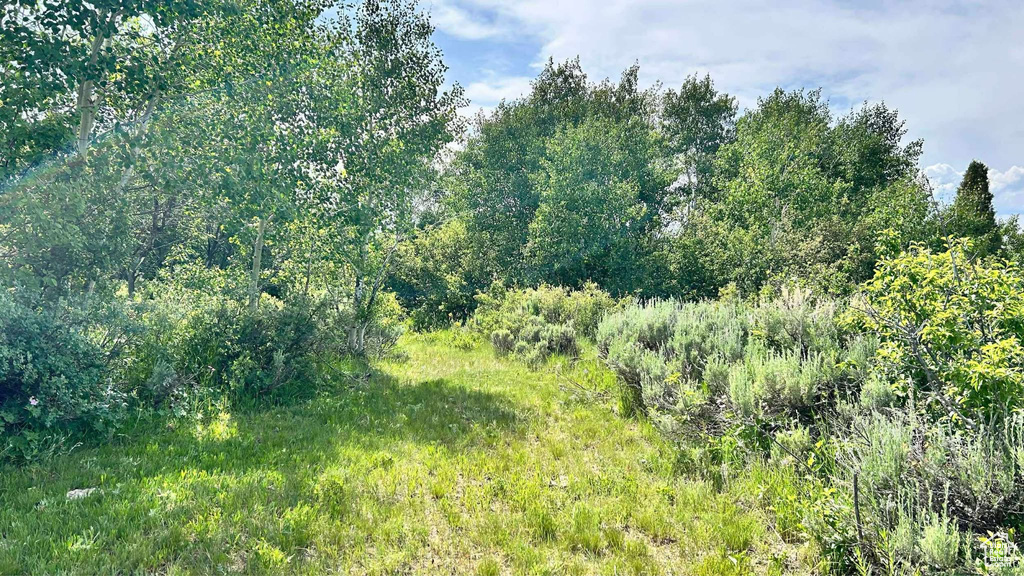  Montpelier, ID 83254