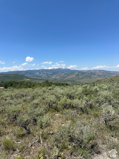  Montpelier, ID 83254