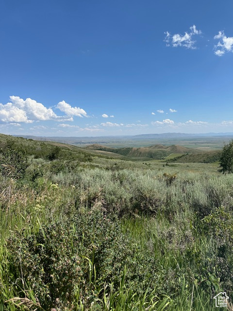  Montpelier, ID 83254