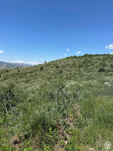  Montpelier, ID 83254