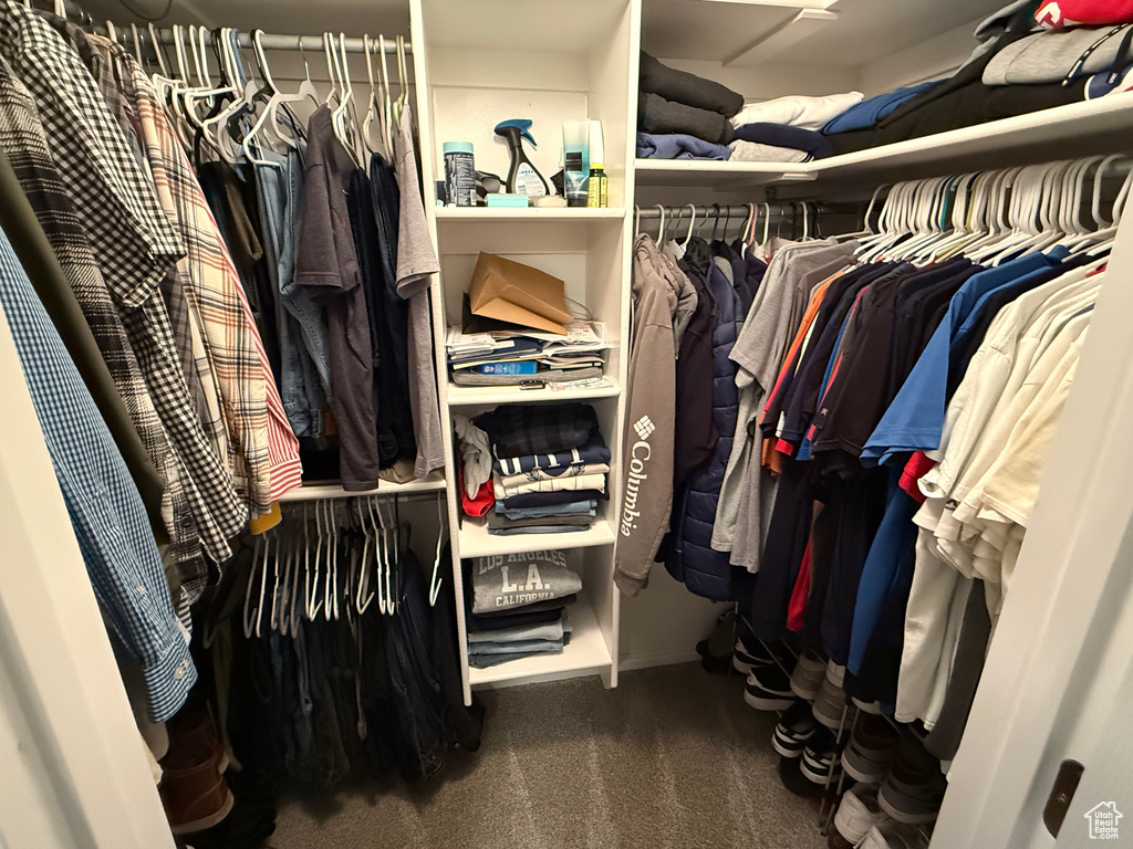 Walk in closet with carpet flooring