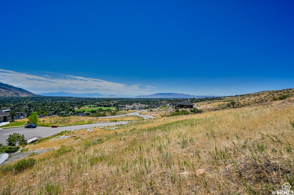 View of mountain background