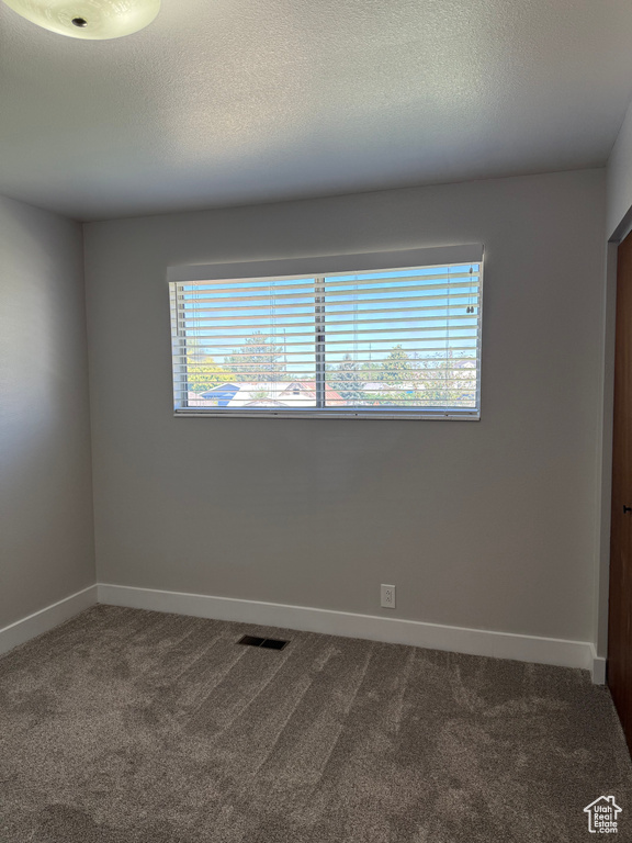 Empty room featuring plenty of natural light, carpet, and a textured ceiling