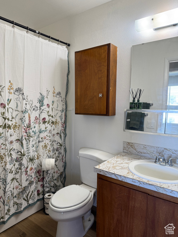 Bathroom with vanity, wood finished floors, and a shower with curtain
