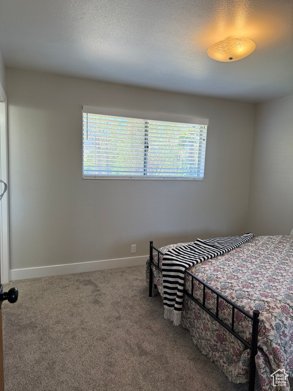 Bedroom featuring multiple windows, carpet, and a textured ceiling