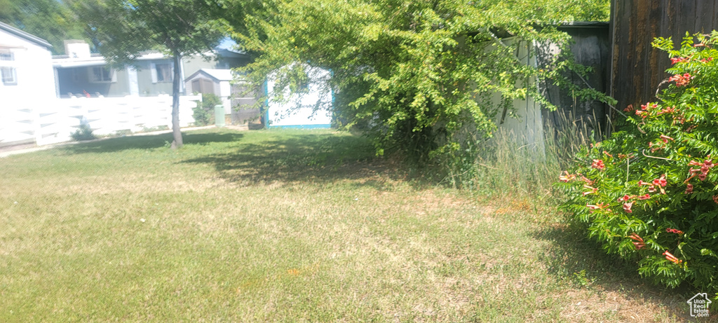 View of green lawn