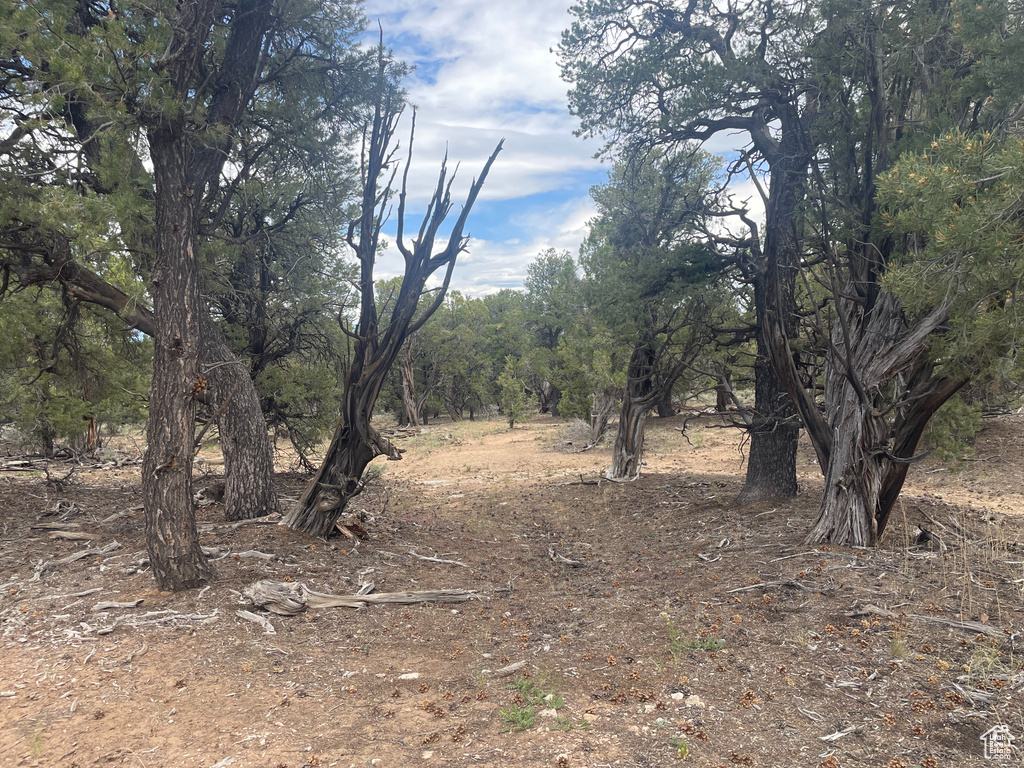  Fruitland, UT 84027