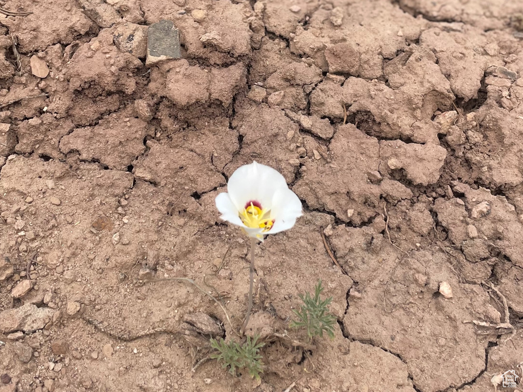  Fruitland, UT 84027