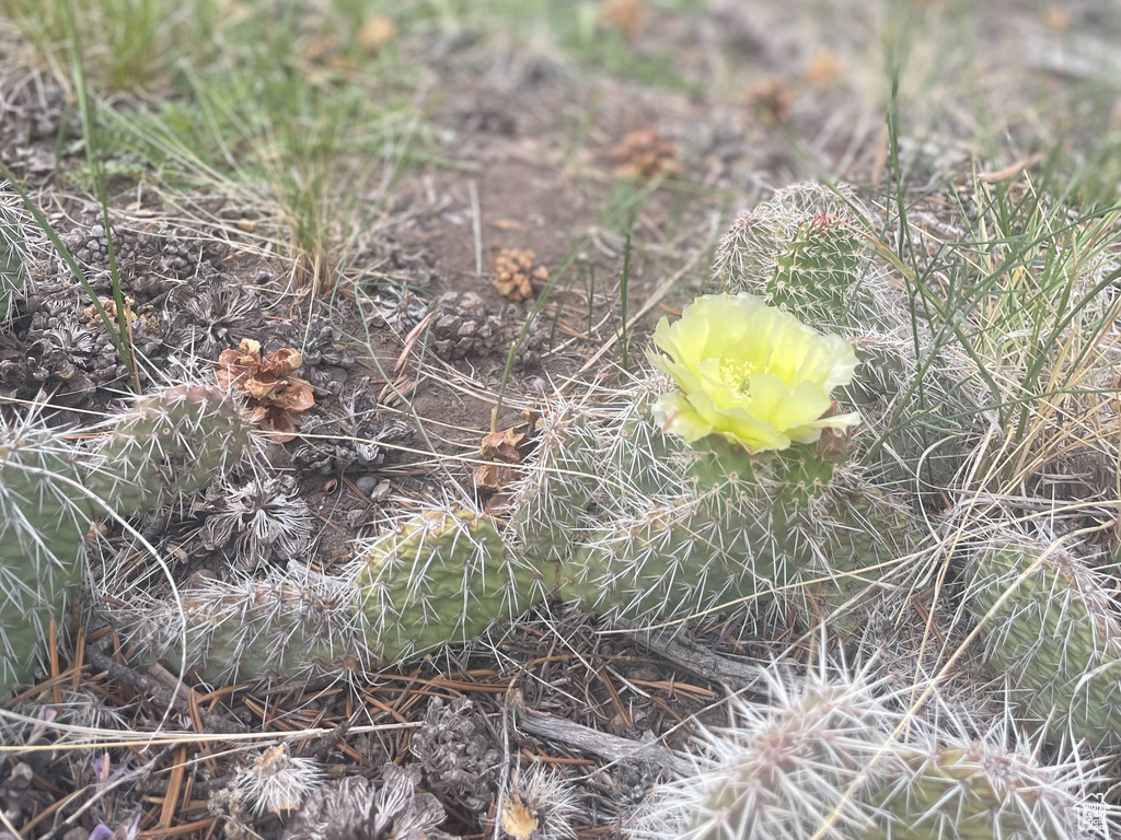  Fruitland, UT 84027