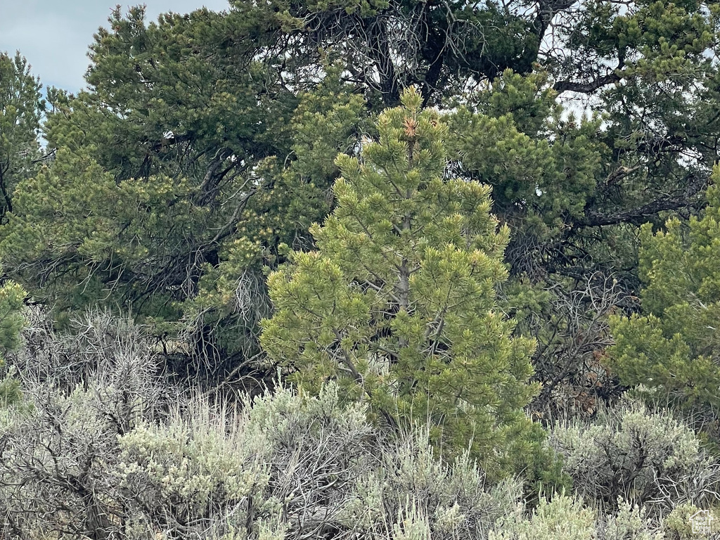  Fruitland, UT 84027