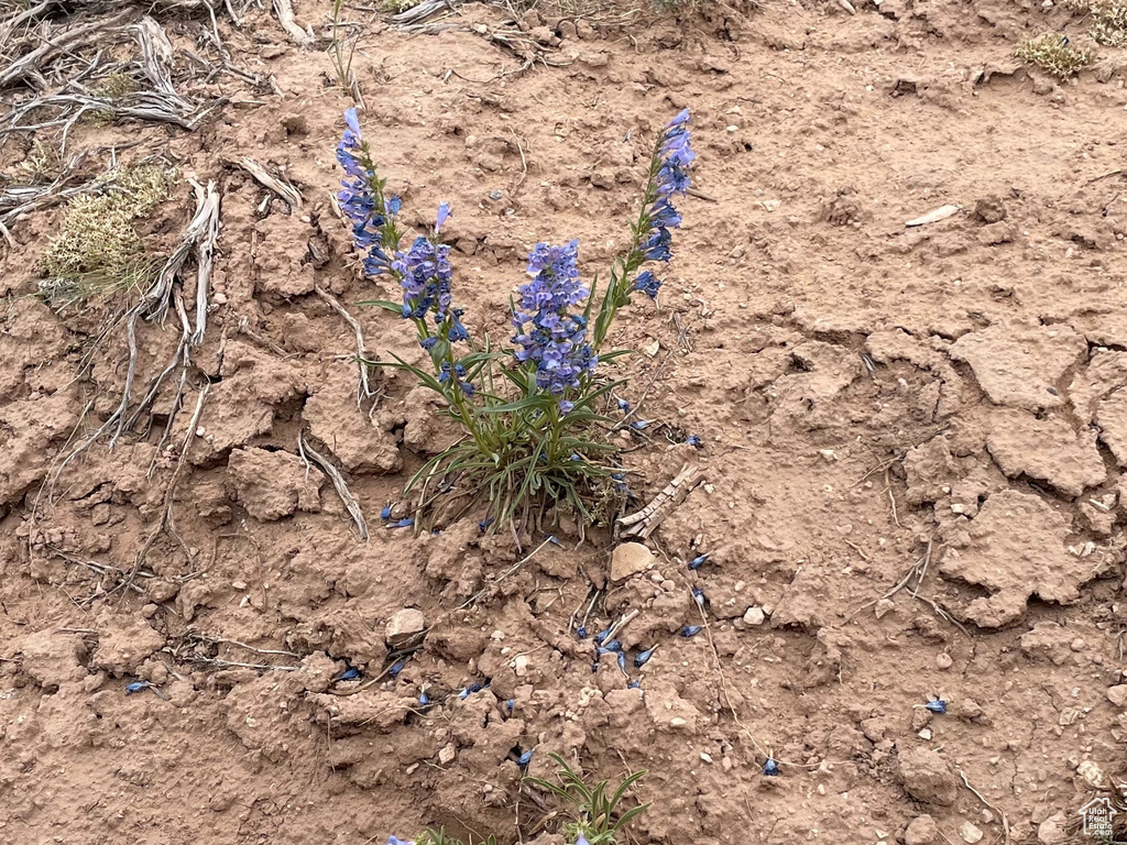  Fruitland, UT 84027