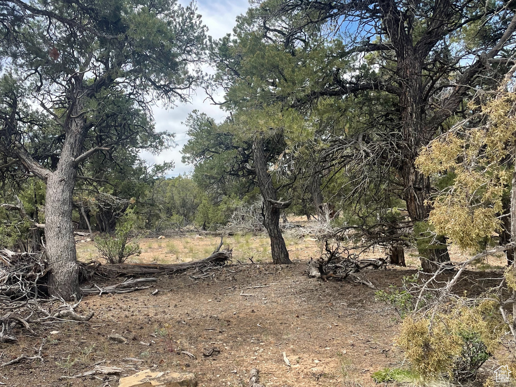  Fruitland, UT 84027