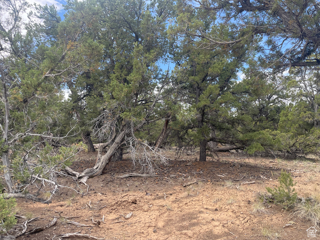  Fruitland, UT 84027